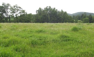 Parcelas en venta sector Huacahue a minutos de La Unión, Los Rios