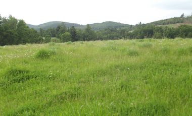 Parcelas en venta sector Huacahue a minutos de La Unión, Los Rios