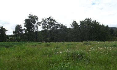 Parcelas en venta sector Huacahue a minutos de La Unión, Los Rios