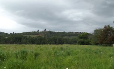 Parcelas en venta sector Huacahue a minutos de La Unión, Los Rios