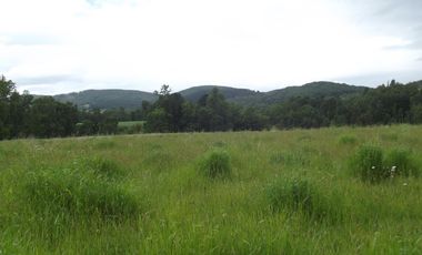 Parcelas en venta sector Huacahue a minutos de La Unión, Los Rios