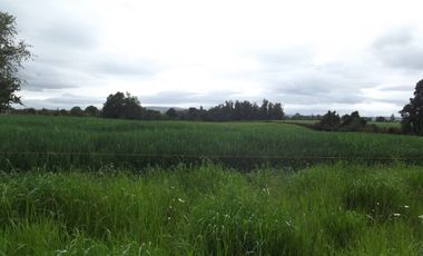 Parcelas en venta sector Huacahue a minutos de La Unión, Los Rios