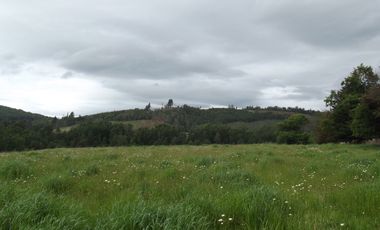 Parcelas en venta sector Huacahue a minutos de La Unión, Los Rios