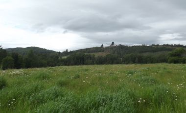 Parcelas en venta sector Huacahue a minutos de La Unión, Los Rios