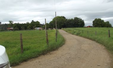Parcelas en venta sector Huacahue a minutos de La Unión, Los Rios