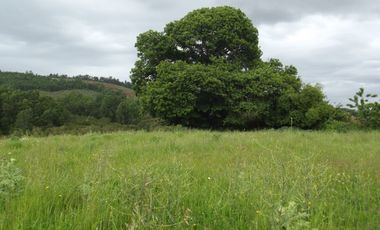 Parcelas en venta sector Huacahue a minutos de La Unión, Los Rios