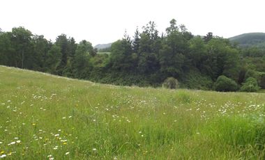 Parcelas en venta sector Huacahue a minutos de La Unión, Los Rios
