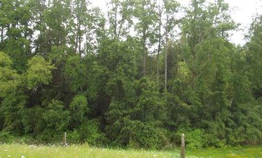 Parcelas en venta sector Huacahue a minutos de La Unión, Los Rios