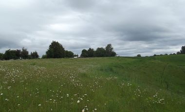 Parcelas en venta sector Huacahue a minutos de La Unión, Los Rios