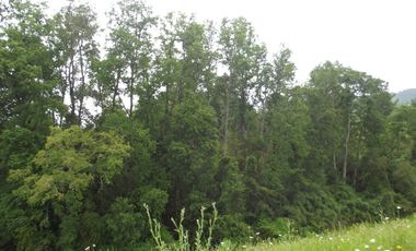 Parcelas en venta sector Huacahue a minutos de La Unión, Los Rios