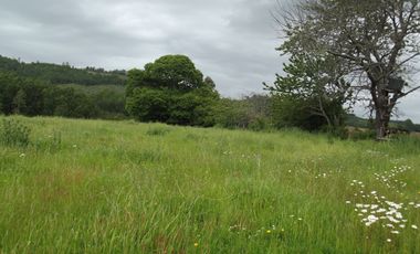 Parcelas en venta sector Huacahue a minutos de La Unión, Los Rios