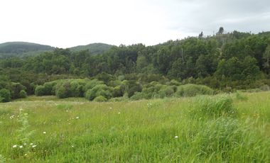 Parcelas en venta sector Huacahue a minutos de La Unión, Los Rios