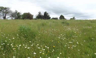 Parcelas en venta sector Huacahue a minutos de La Unión, Los Rios