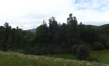 Parcelas en venta sector Huacahue a minutos de La Unión, Los Rios