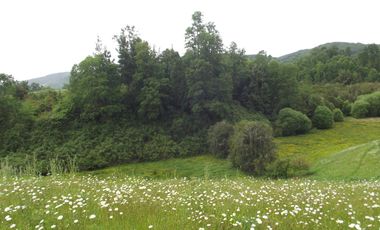 Parcelas en venta sector Huacahue a minutos de La Unión, Los Rios