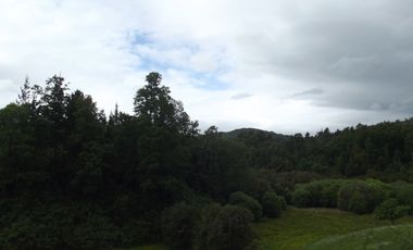 Parcelas en venta sector Huacahue a minutos de La Unión, Los Rios