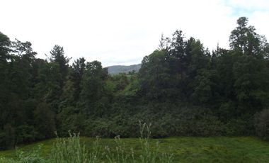 Parcelas en venta sector Huacahue a minutos de La Unión, Los Rios