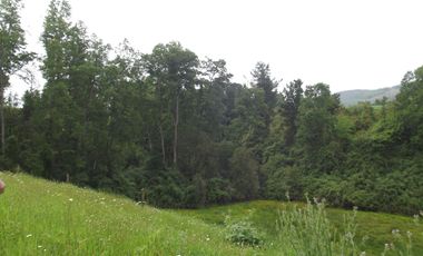 Parcelas en venta sector Huacahue a minutos de La Unión, Los Rios