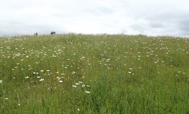 Parcelas en venta sector Huacahue a minutos de La Unión, Los Rios