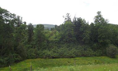 Parcelas en venta sector Huacahue a minutos de La Unión, Los Rios