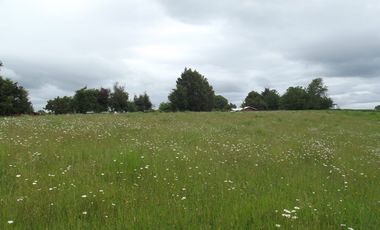 Parcelas en venta sector Huacahue a minutos de La Unión, Los Rios