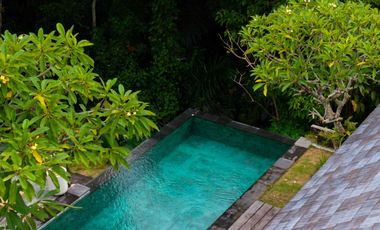 3-Bedroom Villa with Peaceful Tropical Lifestyle Setting in Cepaka (R-CP74)