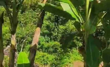 Dijual Villa di pengasih kulonprogo yogyakarta