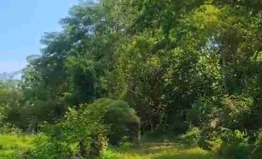 Dijual Villa di pengasih kulonprogo yogyakarta