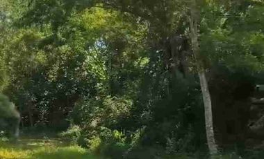 Dijual Villa di pengasih kulonprogo yogyakarta