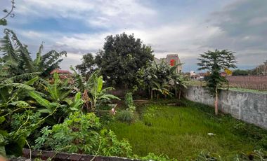 Rumah di Perumahan Tapi Tanahnya Luas