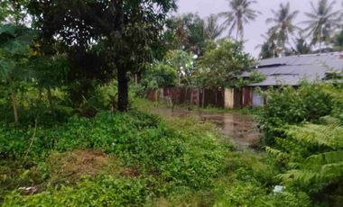 Tanah Murah Akses 2 Mobil Pinggir Jalan Propinsi di Purworejo