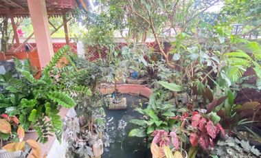 Dijual rumah joglo beserta rumah hunian SHM pekarangan lokasi Harjobinangun Pakem Sleman, barat kampus UII, utara kopi rolas