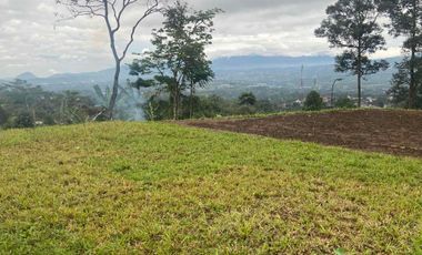 Tanah Full View Dijual di  Desa Cijeruk