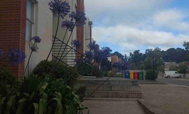 Arriendo Año Corrido Departamento en Algarrobo Centro.