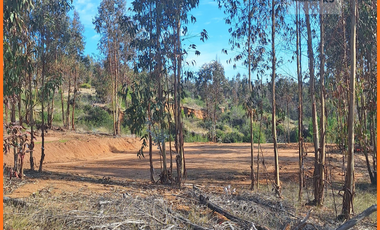 Parcela  plana con bosque y despejado Rol propio 5.000m2