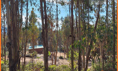 Parcela  plana con bosque y despejado Rol propio 5.000m2