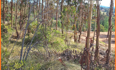 Terreno Parcela a 1 hora de Pichilemu Rol propio 5.000m2
