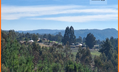 Terreno Parcela a 1 hora de Pichilemu Rol propio 5.000m2