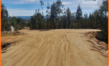 Terreno Parcela a 1 hora de Pichilemu Rol propio 5.000m2