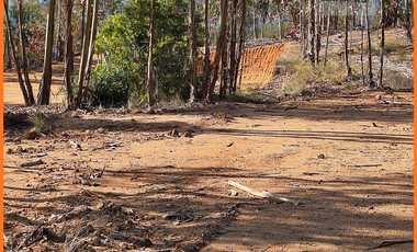 Terreno Parcela a 1 hora de Pichilemu Rol propio 5.000m2