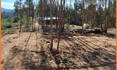 Terreno  plana con bosque y terraza Rol propio 5.000m2