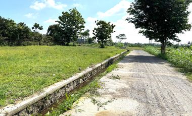 Kawasan Villa/Homestay, Tanah Murah Siap Bangun