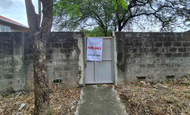 Residential Lot For Sale along Concha Cruz Dr.  BF Homes Parañaque