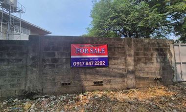 Residential Lot For Sale along Concha Cruz Dr.  BF Homes Parañaque