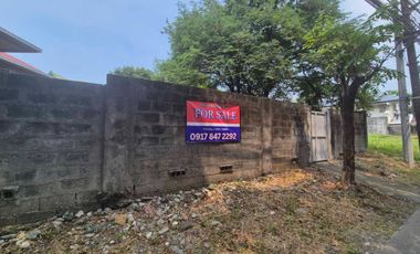 Residential Lot For Sale along Concha Cruz Dr.  BF Homes Parañaque