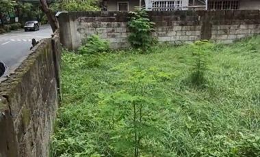 Residential Lot For Sale along Concha Cruz Dr.  BF Homes Parañaque