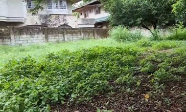 Residential Lot For Sale along Concha Cruz Dr.  BF Homes Parañaque