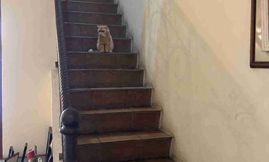 Dijual Rumah Bagus Siap Huni di Pondok Indah