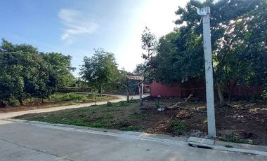 Residential Lot For Sale in Bukal Mendez Cavite-MC