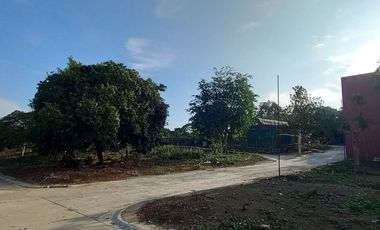 Residential Lot For Sale in Bukal Mendez Cavite-MC